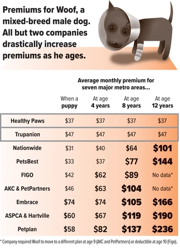 Happy dog with pet insurance protection
